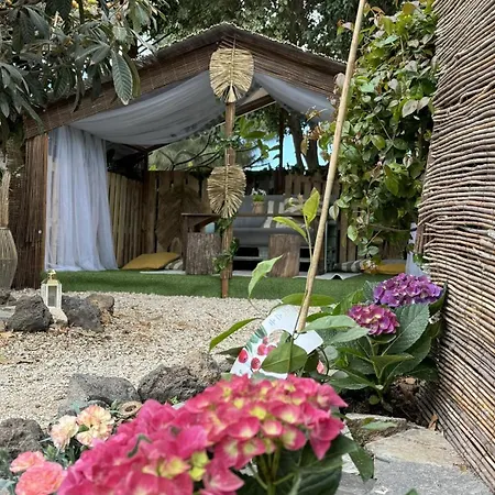 Hayati, Romantica * أرونا